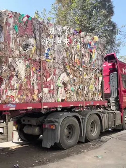 废纸行情与煤炭制品销售分析 造纸厂货源充足与市场机遇探讨